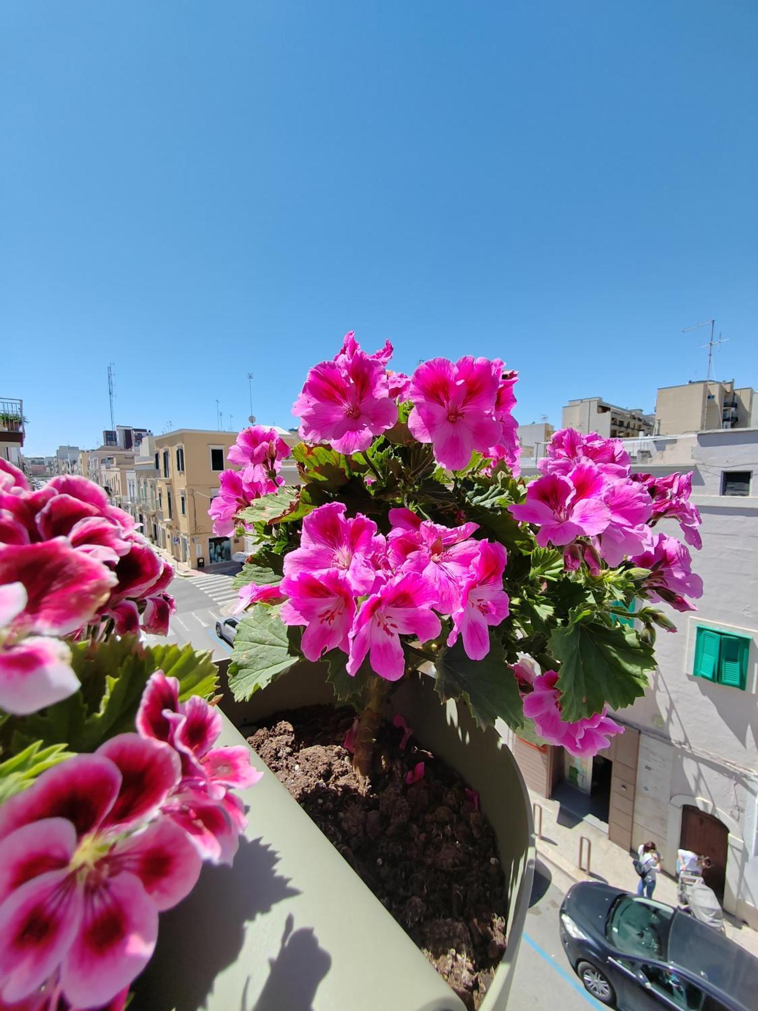 Palazzina Dimora Cavour Apartment Monopoli Ngoại thất bức ảnh